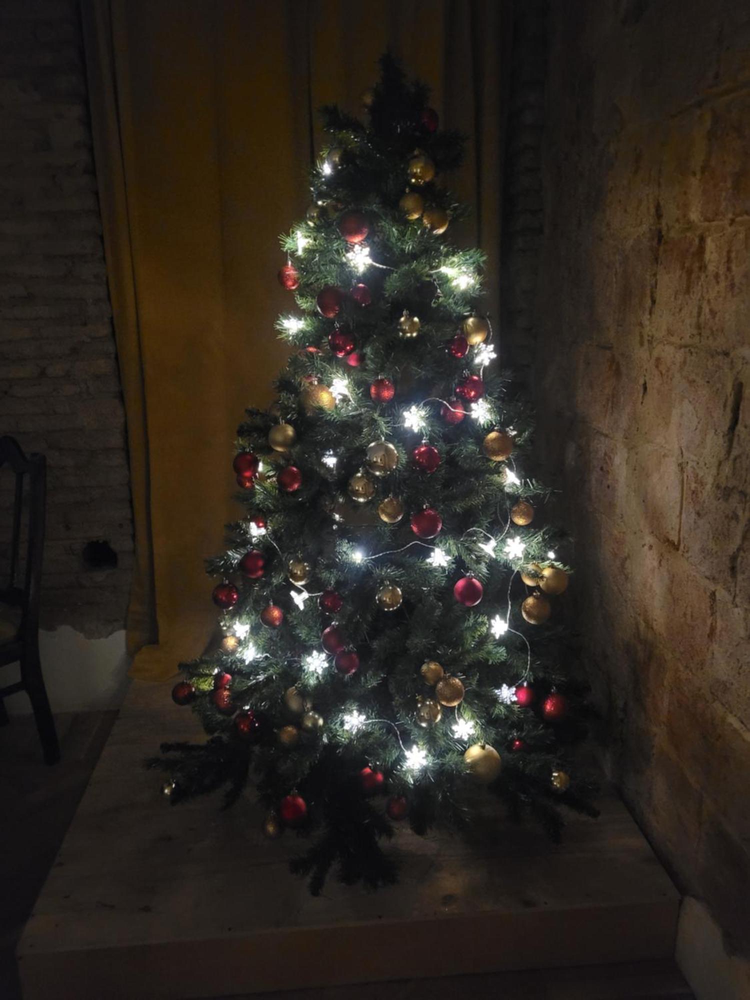 Friends Hostel Tbilisi Luaran gambar